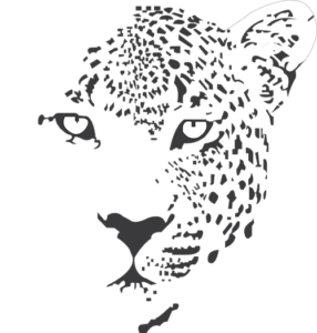 BMC Tours and Safaris Footer Logo