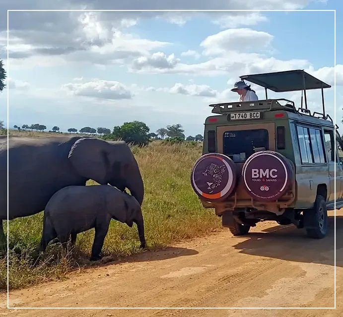 BMC Tours and Safaris Tanzania