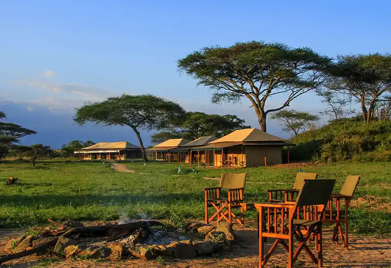 Baobab Central Serengeti Camp luxury room