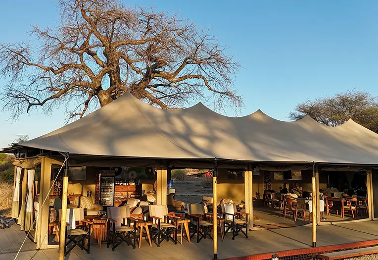 Tarangire Greenland Retreat lounge