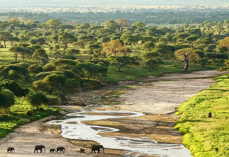 Tarangire Safari Lodge view