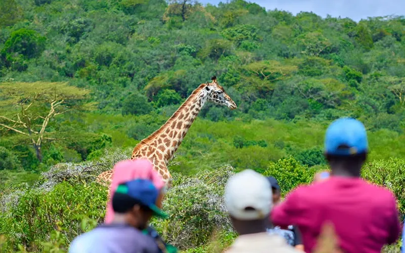 3 Days Nature Essence Adventure Safari Arusha Tarangire and Ngorongoro