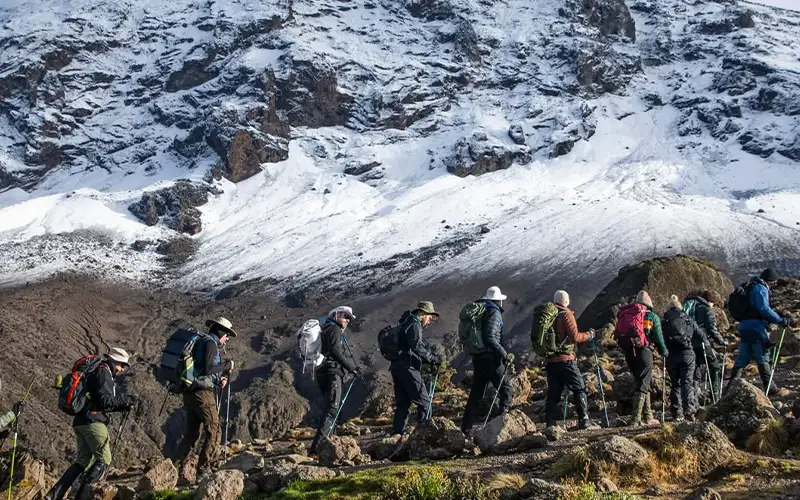 Rainforest descent to Mweka Gate for summit certificate and transfer to Moshi