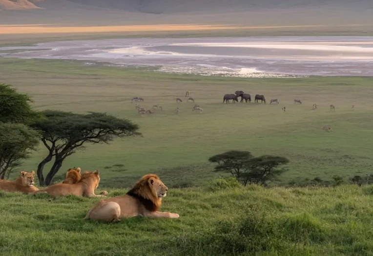 3 Days Nature Adventure Safari Ngorongoro Highlands Crater and Lake Eyasi