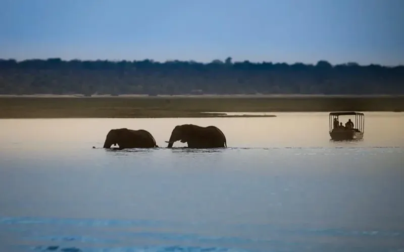Wami River boat safari add-on