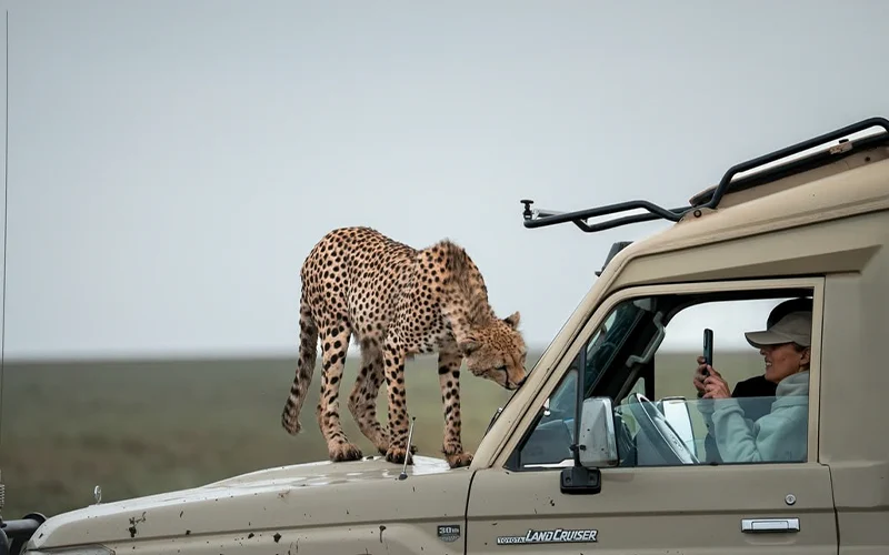 4 Days Serengeti Fly-In Safari: Endless Plains from Seronera Airstrip