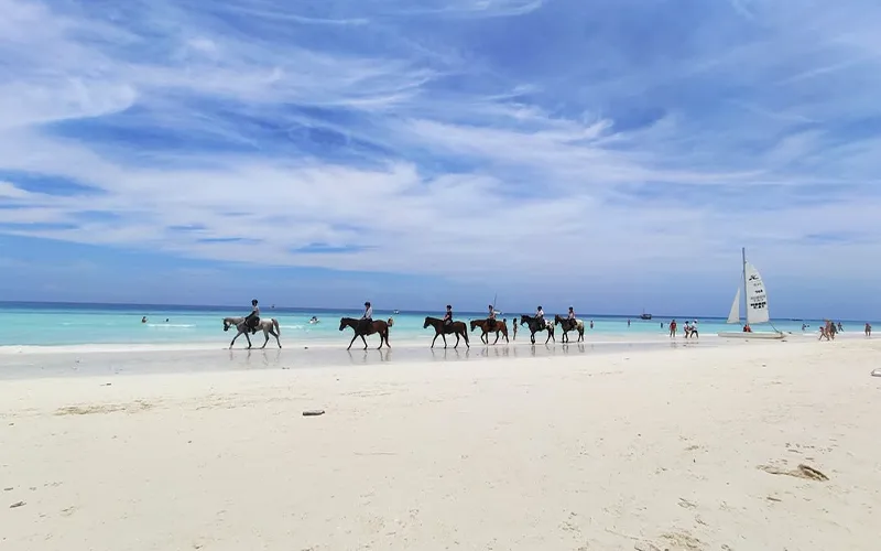 Zanzibar coastal beach resort view