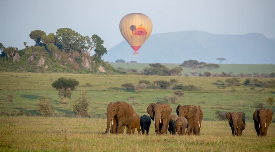 Serengeti Sunrise Flight