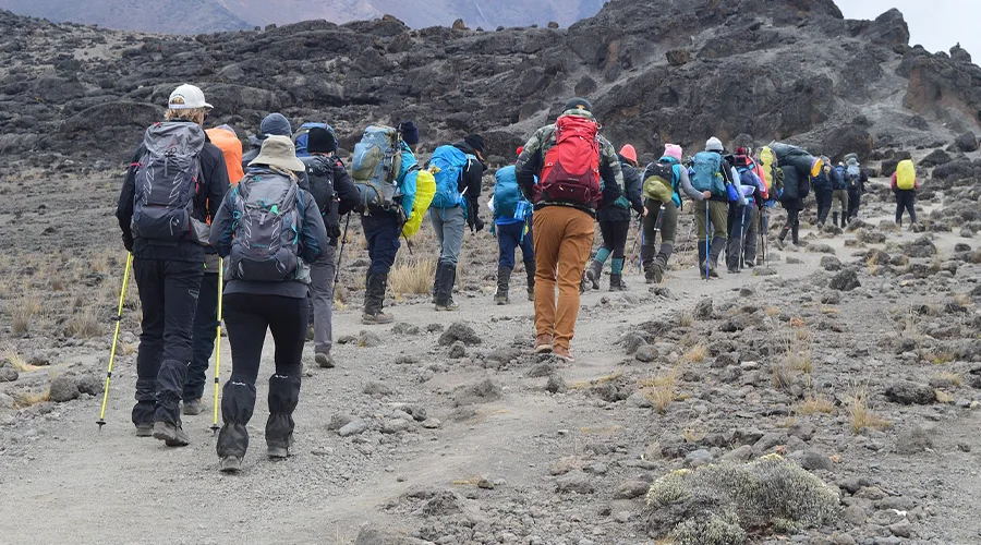 Traversing the alpine desert Saddle between Mawenzi and Kibo