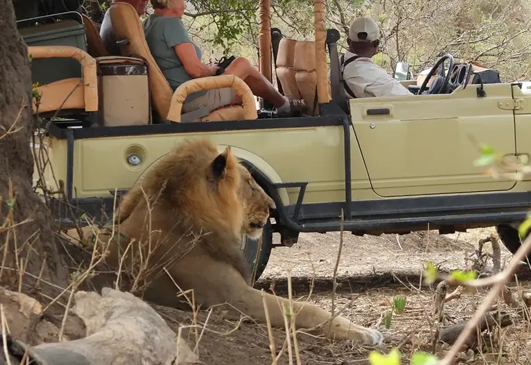 2 Days Ruaha Wilderness: Lions, Baobabs & Great Ruaha River