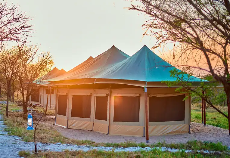 3 Day Serengeti Mobile Camp Migration Following Safari Experience