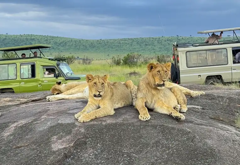 6 Days Great Northern Circuit Safari Tarangire Elephants Serengeti Predators and Ngorongoro Crater Wonders