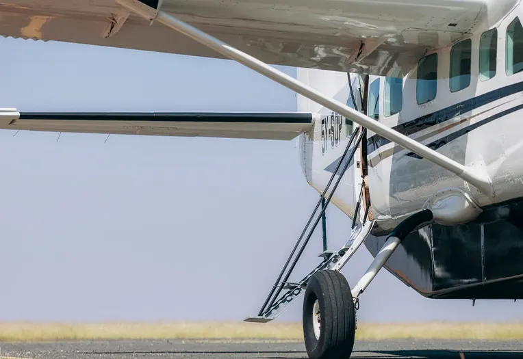 Fly Over the Wild: 7-Day Luxury Migration Safari Experience