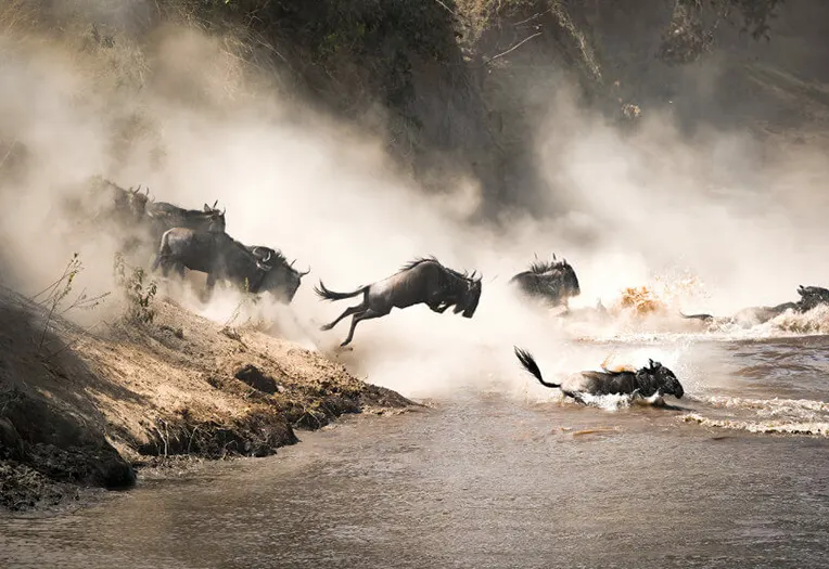 7 Days Great Migration Discovery Tanzania Safari Adventure