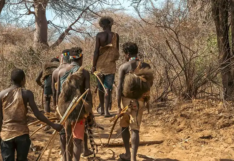 7 Days Northern Circuit & Hadzabe Tribe Experience