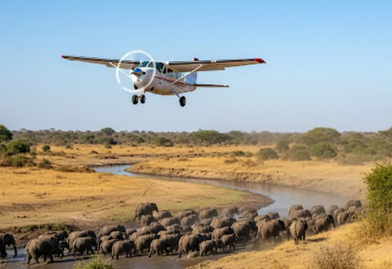 7 Days Fast Track Migration Plus Serengeti Safari Experience