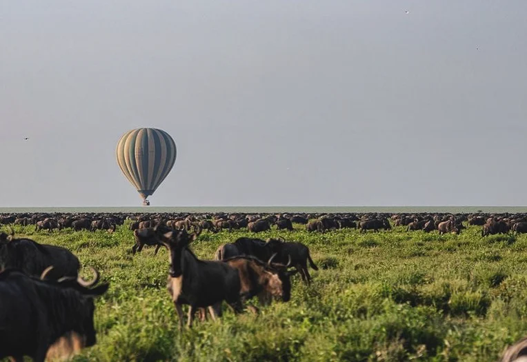 8 Days Great Migration Serengeti Safari & Sunrise Balloon Adventure Experience