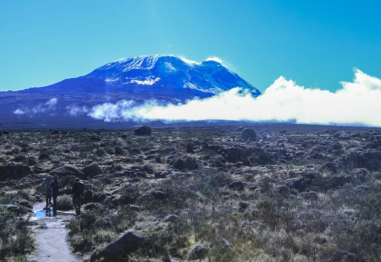 10-Days Mount Kilimanjaro Lemosho Route Scenic Summit Expedition Trek