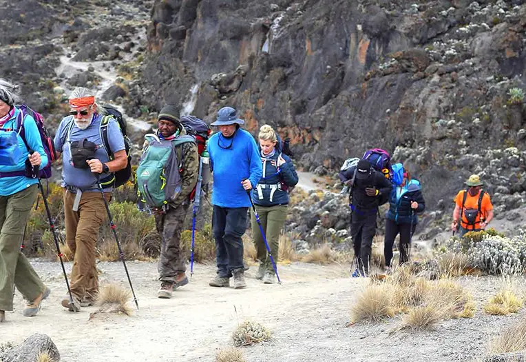 14-Days Mount Kilimanjaro Lemosho Route Trekking & Northern Tanzania Safari Adventure