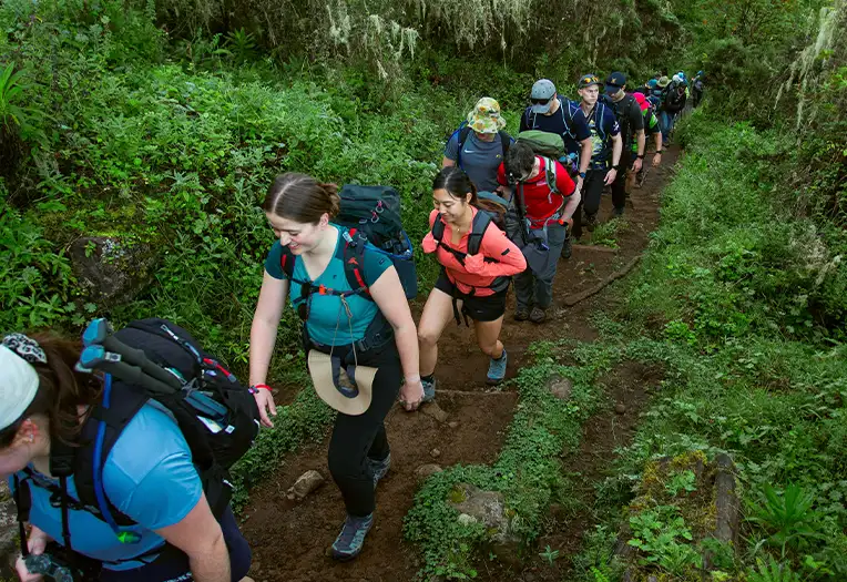 10-Day Mount Kilimanjaro Northern Circuit Route Trekking Adventure