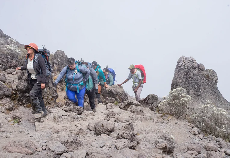 7-Day Mount Kilimanjaro Rongai Route Trekking Adventure