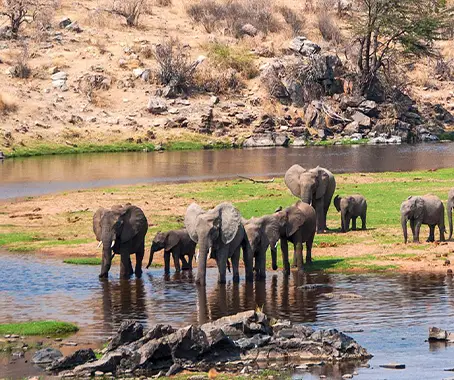 Southern Circuit Ruaha Tanzania